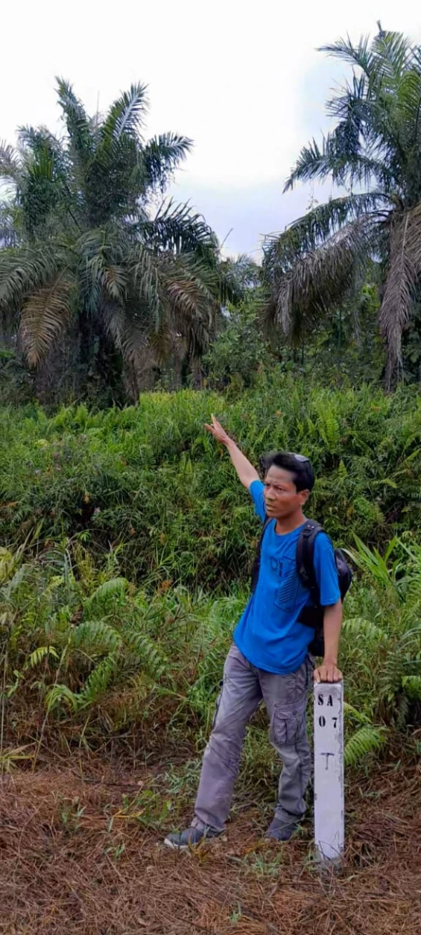 Kebakaran Hutan di BSP. PT Grahadura Leidong Prima, Tagor Tampubolon: Tangkap dan Penjarakan GM GLP - DigitalMediaPublic